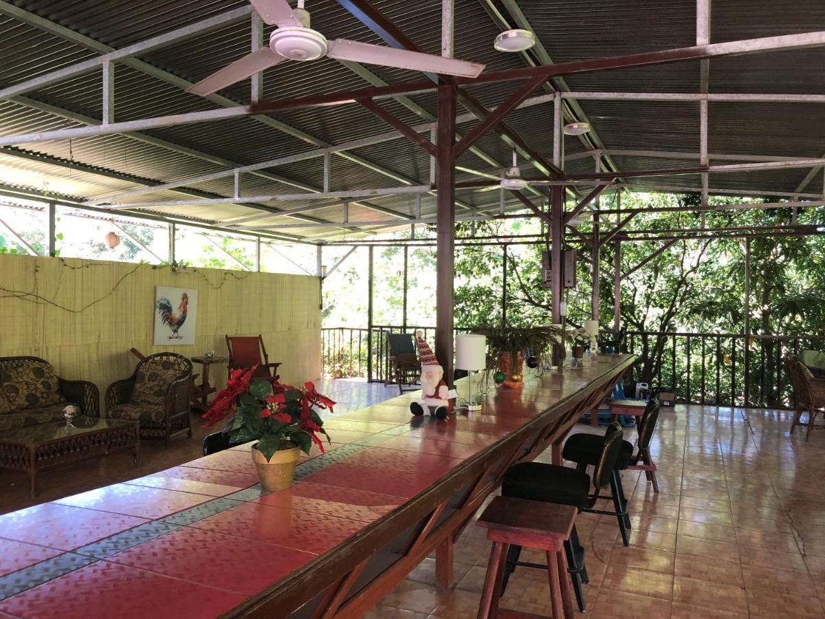 Toucan House 科克 外观 照片