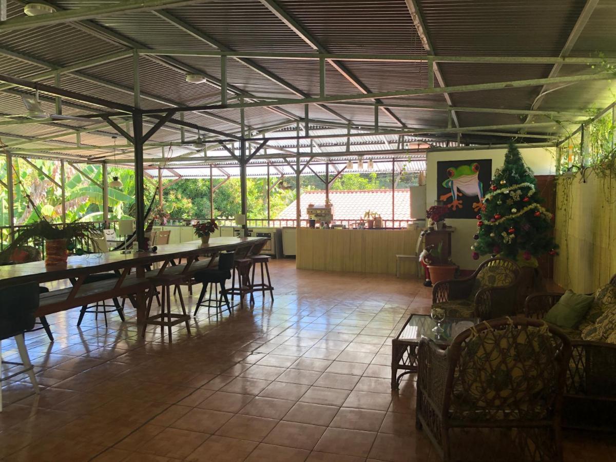 Toucan House 科克 外观 照片