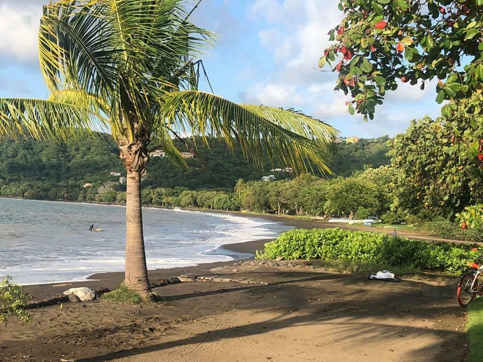Toucan House 科克 外观 照片